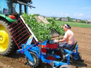 Planteringsmaskin f&ouml;r tre rad max 30mm plugg