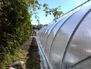 ROVX 2470V&auml;xthusfolie spillbitar till specialpris 8,5x 2 m inkl. emballage