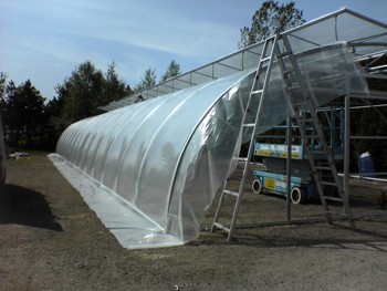 Växthusfolie Scandinavian Sun Clear Crystal,  180my,  12m bred i valfri längd, pris/12m/löpmeter